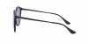 RB4334D Sunglasses