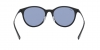RB4334D Sunglasses