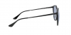 RB4334D Sunglasses