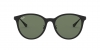 RB4334D Sunglasses