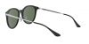 RB4334D Sunglasses