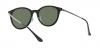 RB4334D Sunglasses