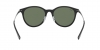 RB4334D Sunglasses
