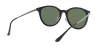 RB4334D Sunglasses
