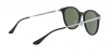RB4334D Sunglasses