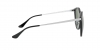 RB4334D Sunglasses