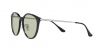 RB4334D Sunglasses