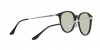 RB4334D Sunglasses