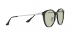 RB4334D Sunglasses