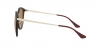 RB4334D Sunglasses