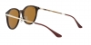 RB4334D Sunglasses