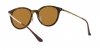 RB4334D Sunglasses