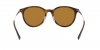 RB4334D Sunglasses