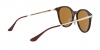 RB4334D Sunglasses