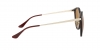 RB4334D Sunglasses
