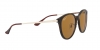 RB4334D Sunglasses
