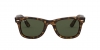 RB4340 Wayfarer Sunglasses