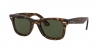 RB4340 Wayfarer Sunglasses