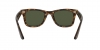 RB4340 Wayfarer Sunglasses