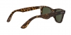 RB4340 Wayfarer Sunglasses