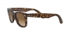 RB4340 Wayfarer Sunglasses