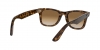 RB4340 Wayfarer Sunglasses