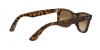 RB4340 Wayfarer Sunglasses