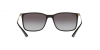 RB4359L Sunglasses