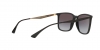 RB4359L Sunglasses