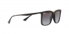 RB4359L Sunglasses
