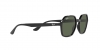 RB4361 Sunglasses