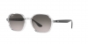 RB4361 Sunglasses