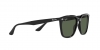 RB4362 Sunglasses