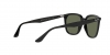 RB4362 Sunglasses
