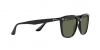 RB4362 Sunglasses