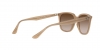 RB4362 Sunglasses