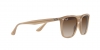 RB4362 Sunglasses