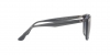 RB4362 Sunglasses