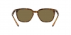 RB4362 Sunglasses