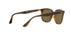 RB4362 Sunglasses