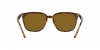 RB4362 Sunglasses