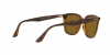 RB4362 Sunglasses