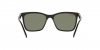 RB4372L Sunglasses