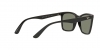 RB4372L Sunglasses
