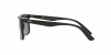 RB4372L Sunglasses