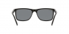 RB4372L Sunglasses
