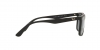 RB4372L Sunglasses