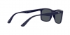 RB4373L Sunglasses