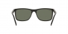 RB4373L Sunglasses