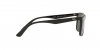 RB4373L Sunglasses